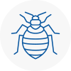 Bed Bug Extermination In Bartley Green